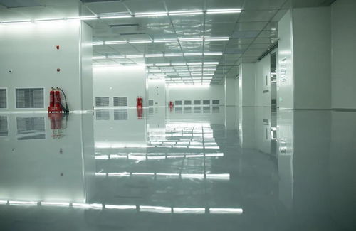 一筑一風(fēng)景丨三棵樹工業(yè)地坪涂料賦能高端制造，助力中韓合資智能工廠打造綠色生產(chǎn)新標(biāo)桿